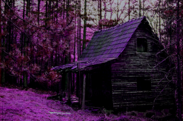 Gliwice Atrakcja Escape room The Cabin in the Woods